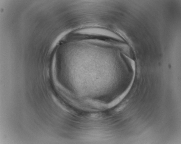 X0000076030060200610152057