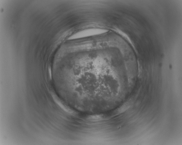 X0000076030061200610152057