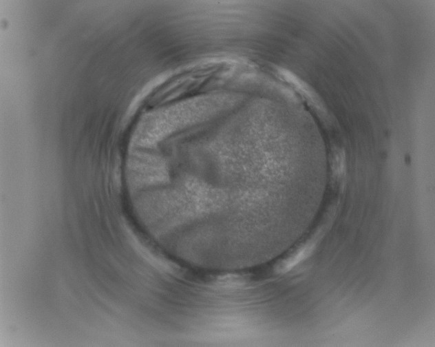 X0000076030064200610152057