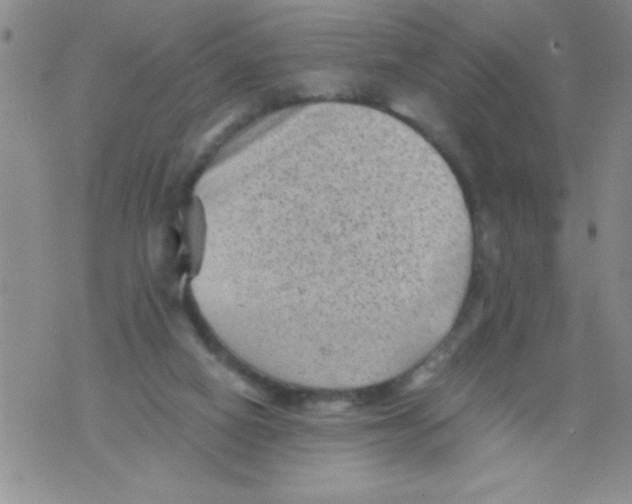 X0000076030066200610152058