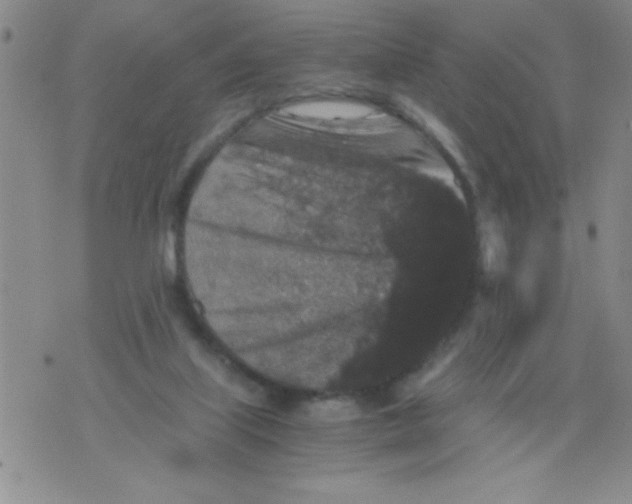 X0000076030067200610152058