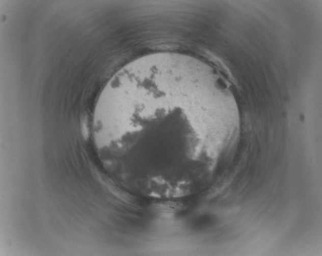 X0000076030069200610152058