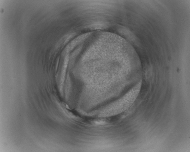 X0000076030070200610152058