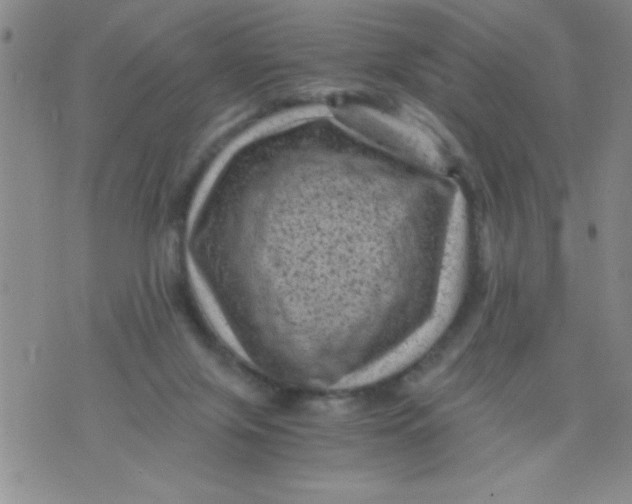 X0000076030071200610152058