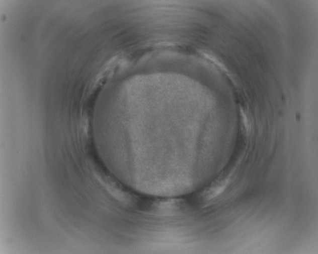 X0000076030072200610152058