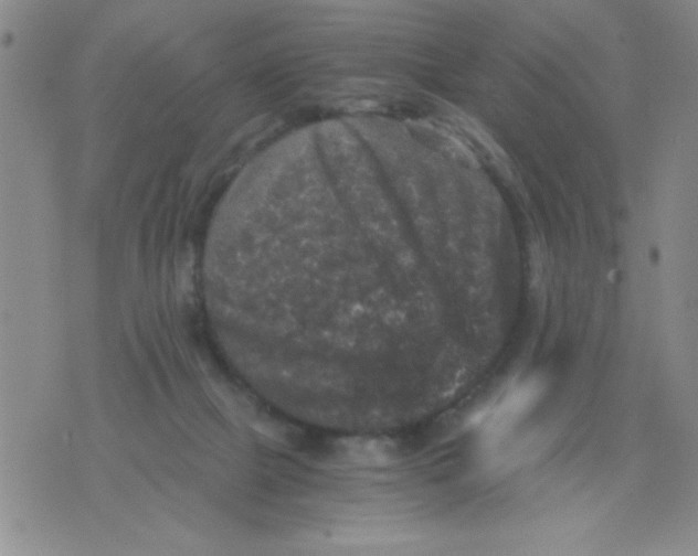 X0000076030073200610152058