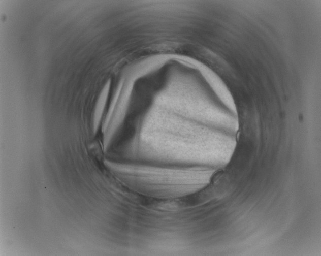 X0000076030075200610152058