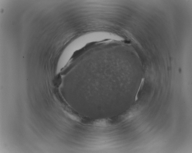 X0000076030076200610152058