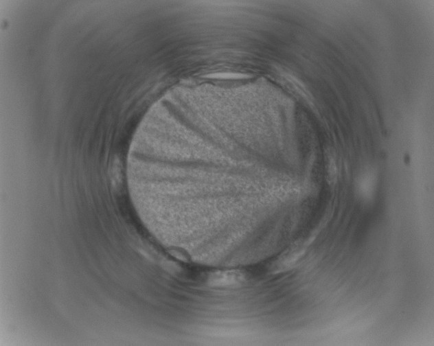 X0000076030077200610152058