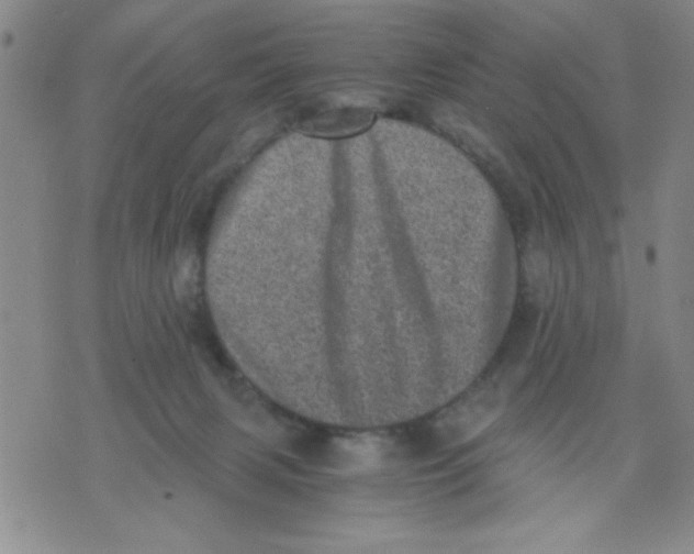 X0000076030079200610152058