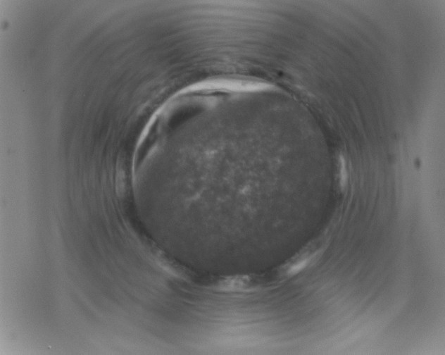 X0000076030080200610152058