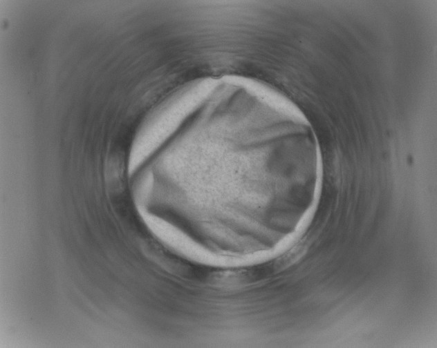 X0000076030082200610152058