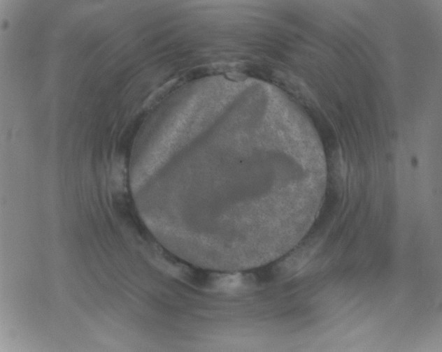 X0000076030083200610152058