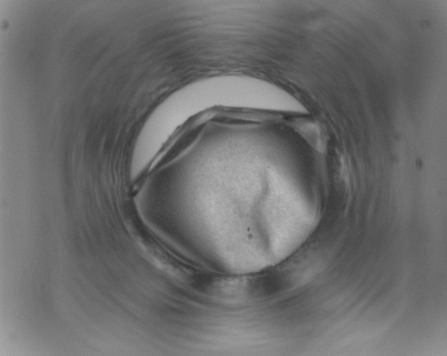 X0000076030084200610152058