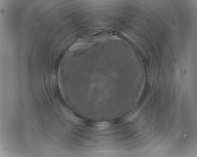 X0000076030085200610152058