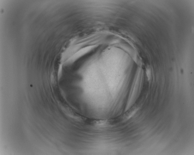 X0000076030088200610152058