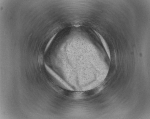 X0000076030090200610152058