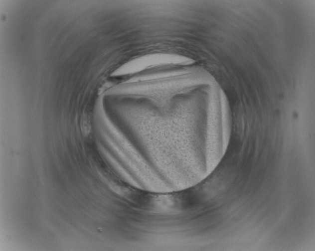 X0000076030091200610152058