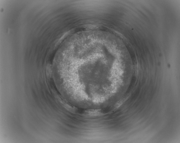 X0000076030093200610152058