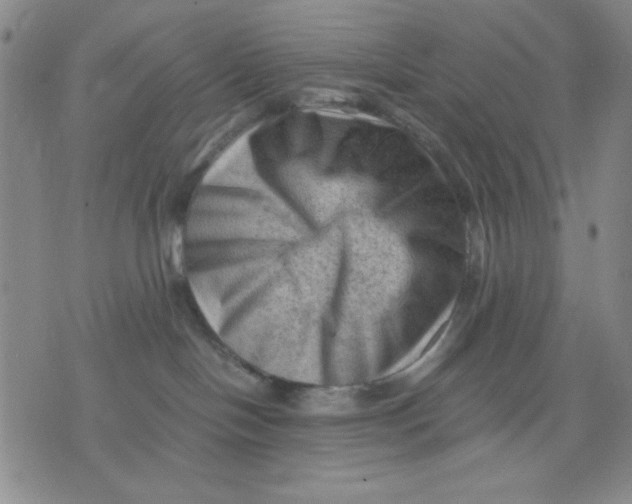 X0000076030094200610152058