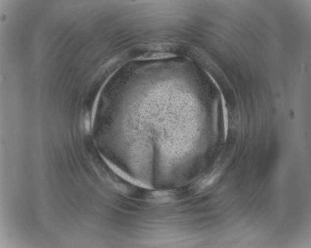 X0000076030095200610152058