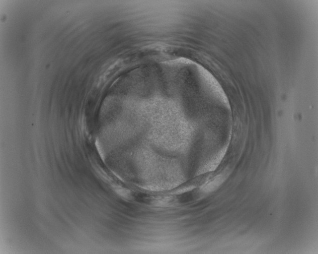 X0000076030096200610152058