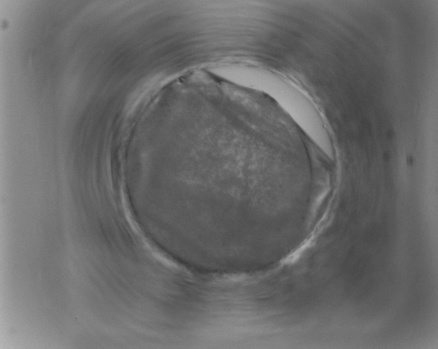 X0000076030097200610152057