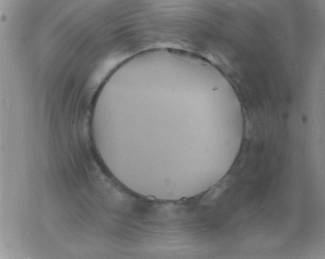 X0000076030098200610152057