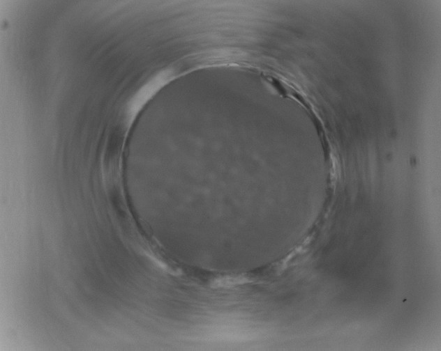 X0000076030099200610152057