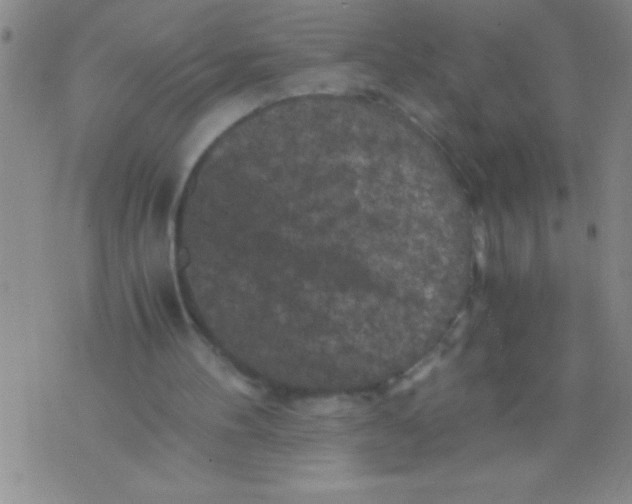 X0000076030100200610152057