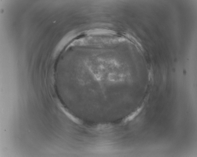 X0000076030101200610152057