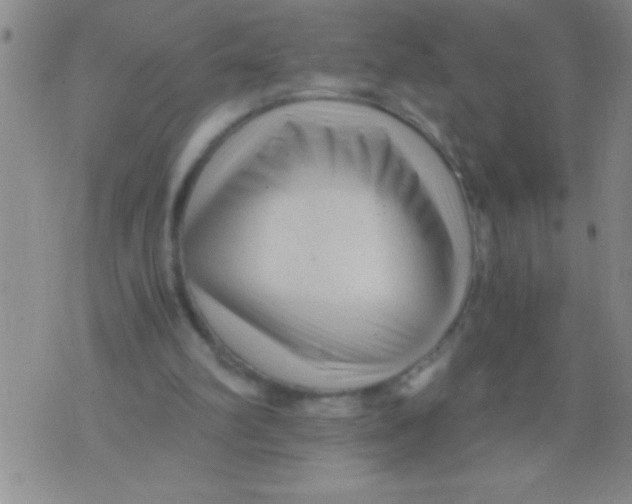 X0000076030102200610152057