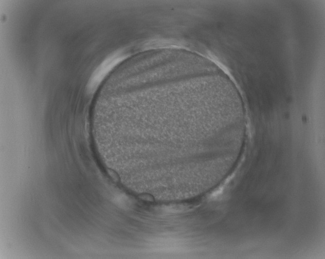 X0000076030103200610152057