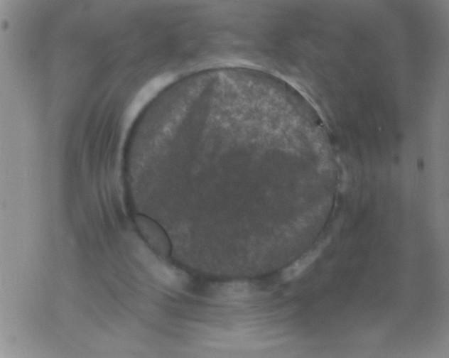 X0000076030104200610152057