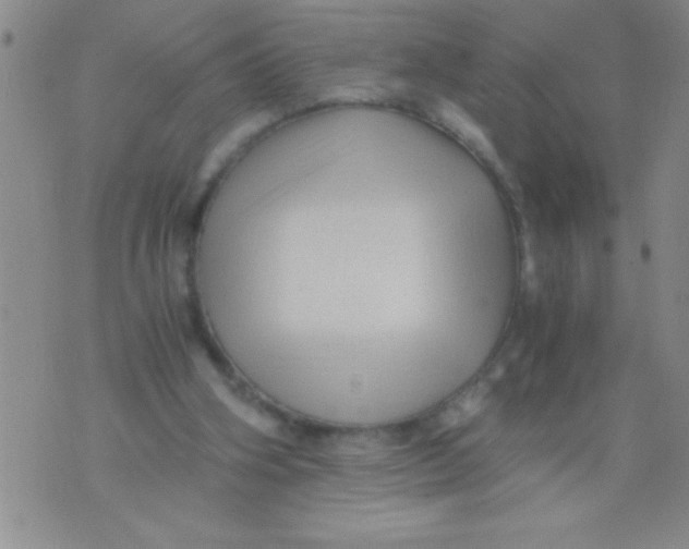 X0000076030106200610152057