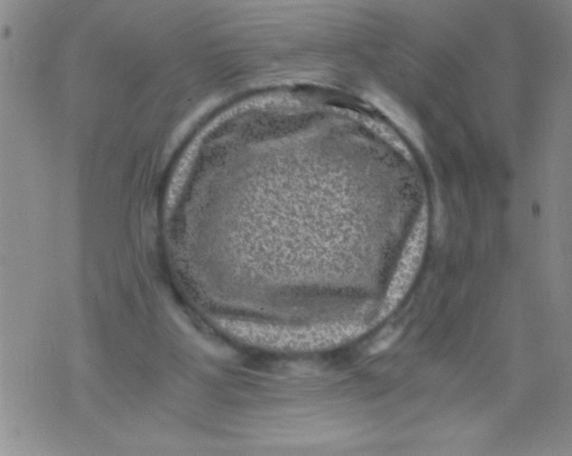 X0000076030107200610152057