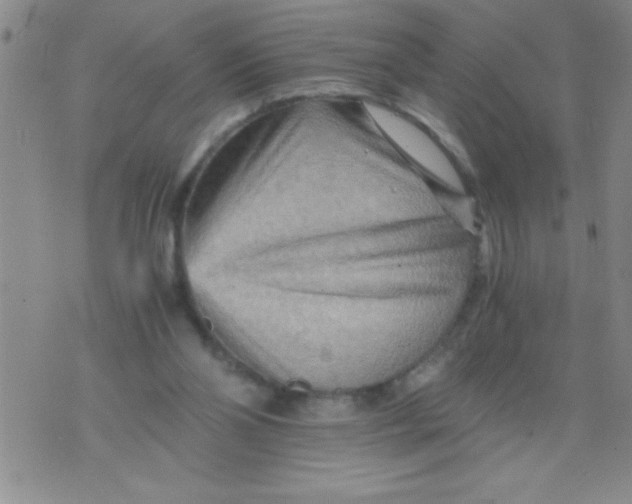 X0000076030110200610152057