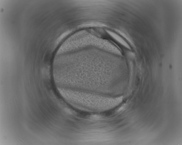 X0000076030111200610152057