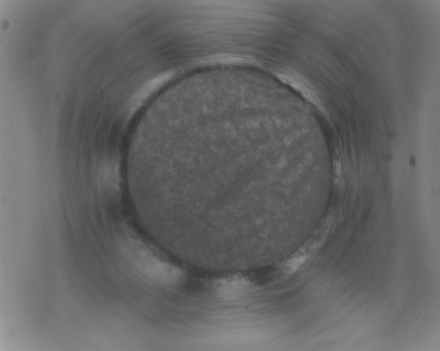 X0000076030112200610152057