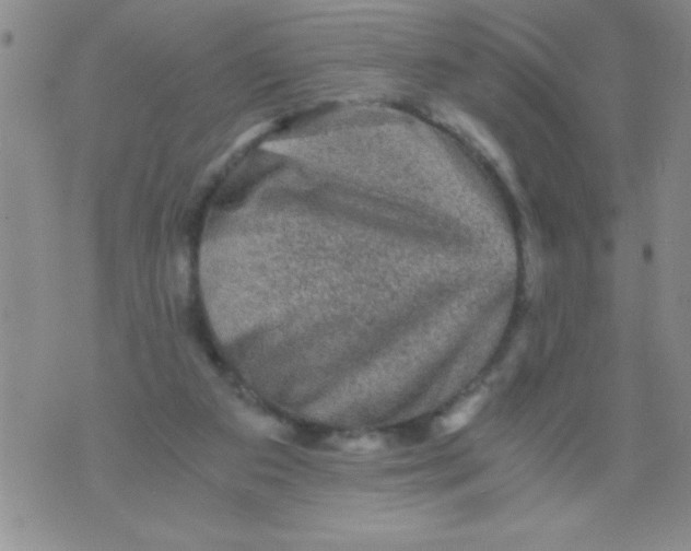 X0000076030113200610152057