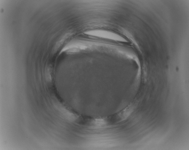 X0000076030114200610152057