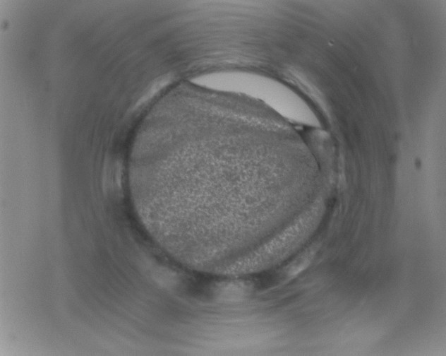 X0000076030115200610152057