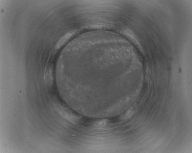 X0000076030116200610152057