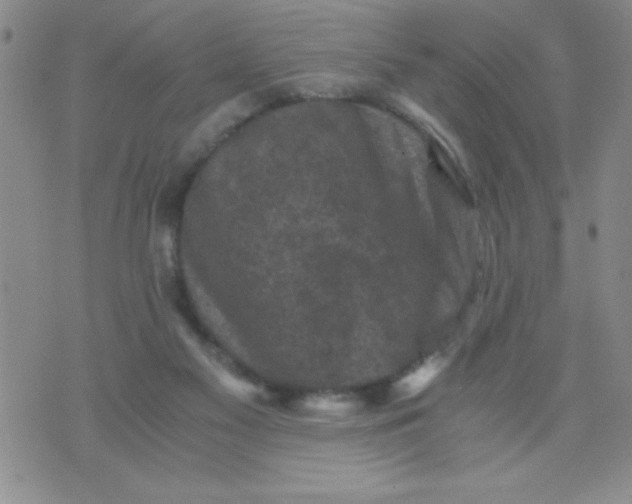 X0000076030117200610152057