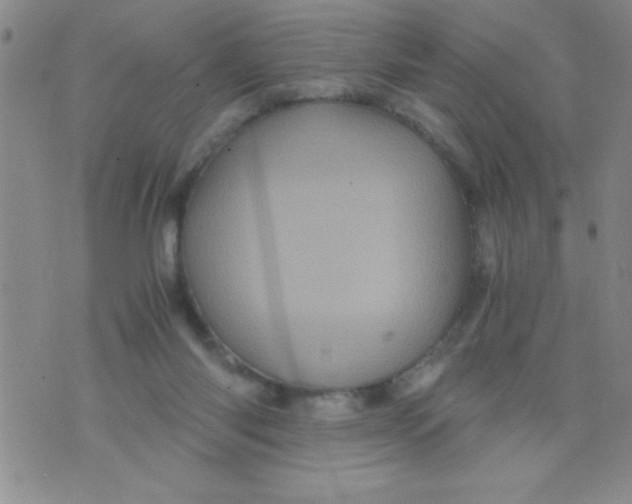 X0000076030118200610152057