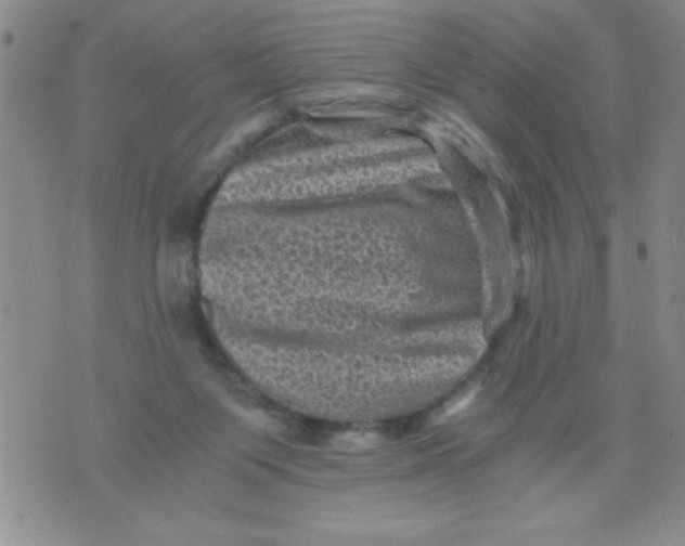 X0000076030119200610152057