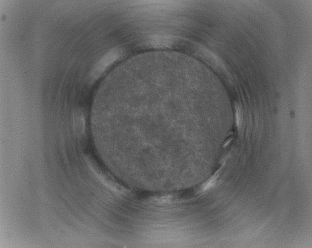 X0000076030120200610152057