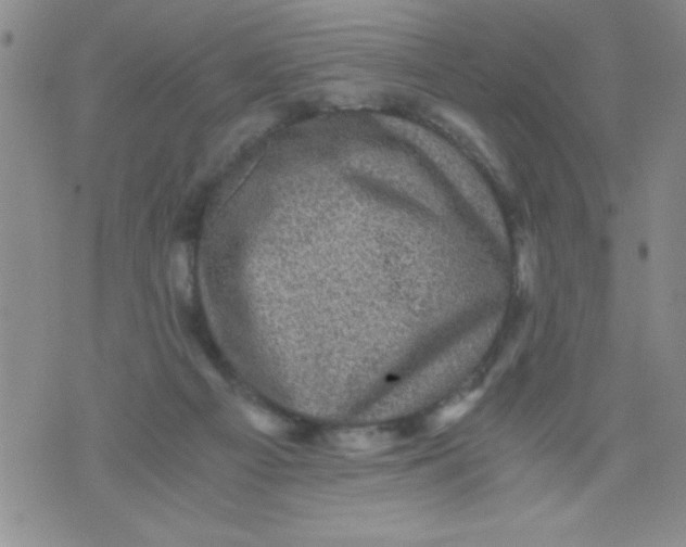 X0000076030121200610152057