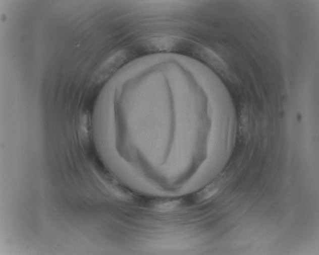 X0000076030122200610152057