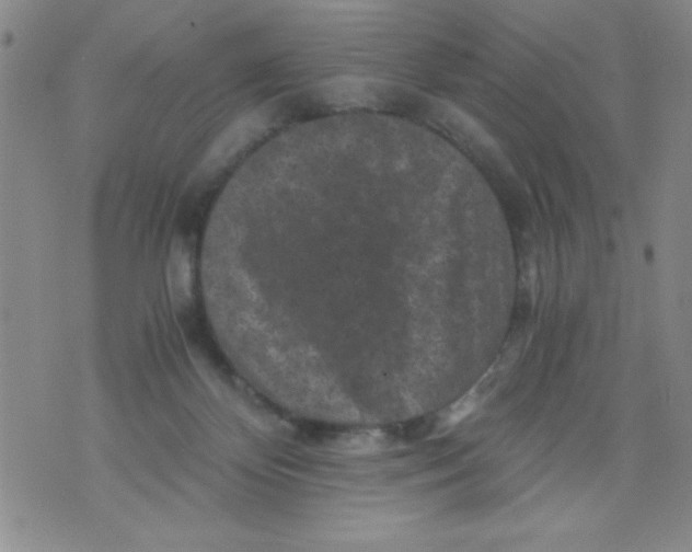 X0000076030124200610152057